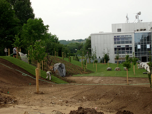 Terénní úpravy Technologický park Brno